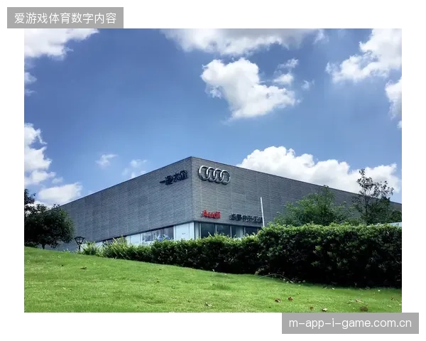 赛事运营服务竞争重心已从单点执行滑向全周期会员资产管理阵地